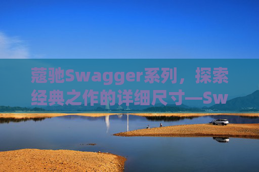 蔻驰Swagger系列，探索经典之作的详细尺寸—Swagger 20尺寸解析